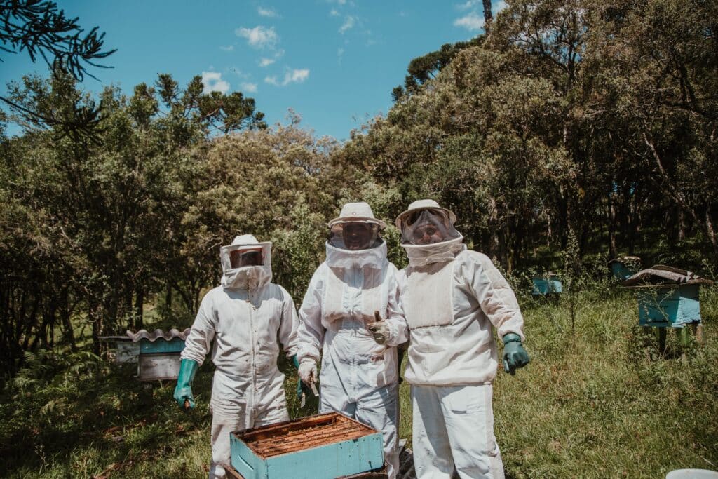 Beekeeping 3 Bee Keepers In protective Suits