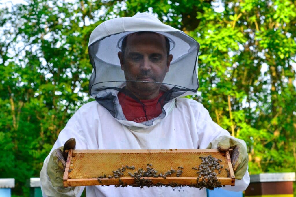 Beekeeping Beekeeper Holding Honeytray